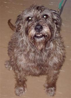 photo indications sally